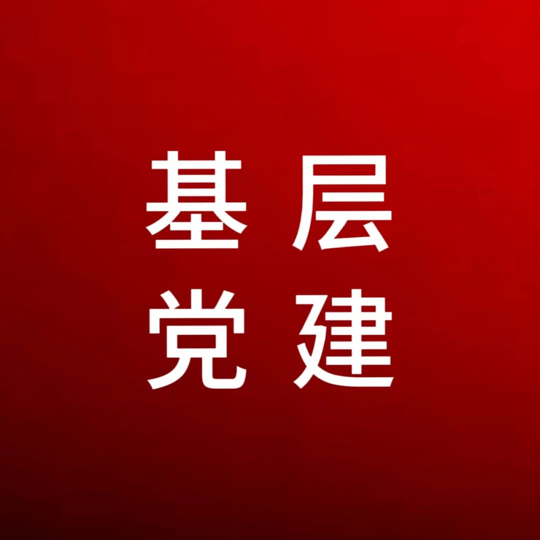 “一月一课一片一实践” 助推支部工作提质增效